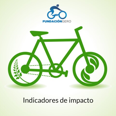 indicadores impacto